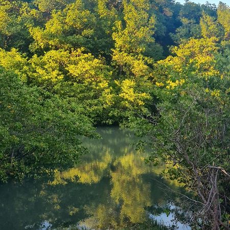 Ecocasa Rio Sauipe Otel Pôrto de Sauípe Dış mekan fotoğraf